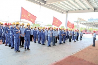 打好党工团妇组合拳 凝聚高质量发展新合力——德信体育开展“党群组织助力企业经营发展”义务劳动