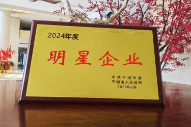 新春新景新气象 | 德信体育在平湖三干大会上喜摘荣誉！